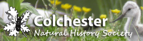 Colchester Natural History Society