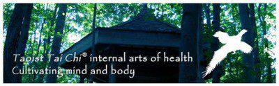 Taoist Tai Chi - Cultivating mind & body