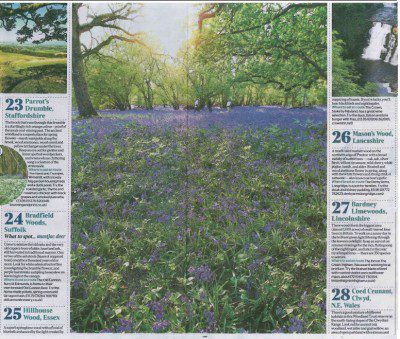 Article from the Times about Hillhouse Wood