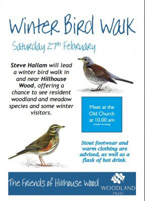 Winter Bird Walk 2016