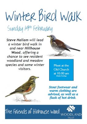 Poster for Winter Bird walk 2017