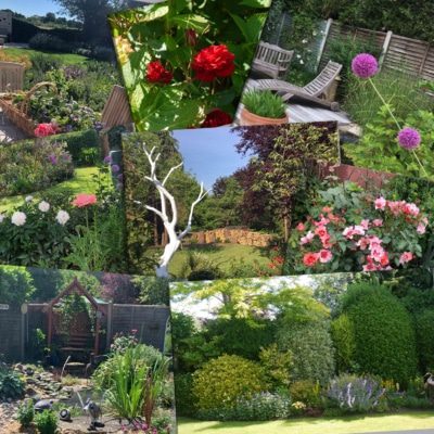 Open Gardens Collage 1