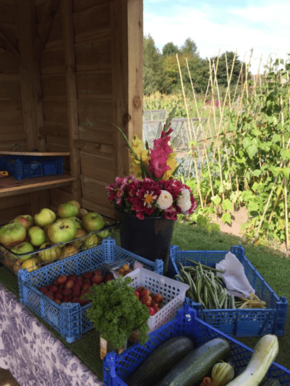 The Allotment Charity Stall