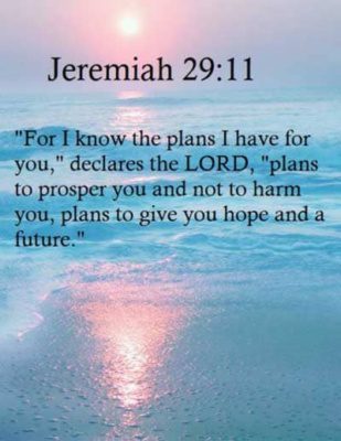 For I know the plans I have for you, plans to prosper you and not to harm you, plans to give you hope and a future.  Jeremiah 29:11