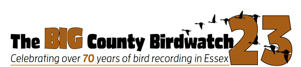 The Big County Birdwatch 23